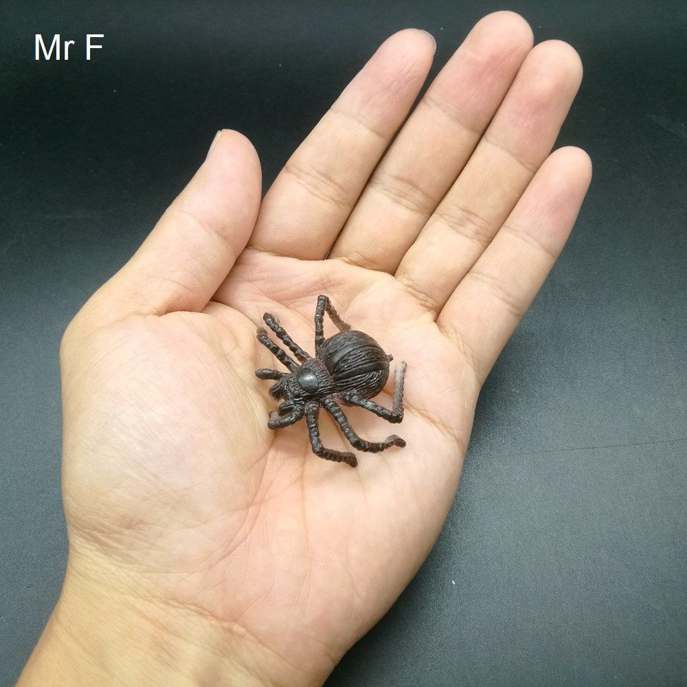 mini black spiders
