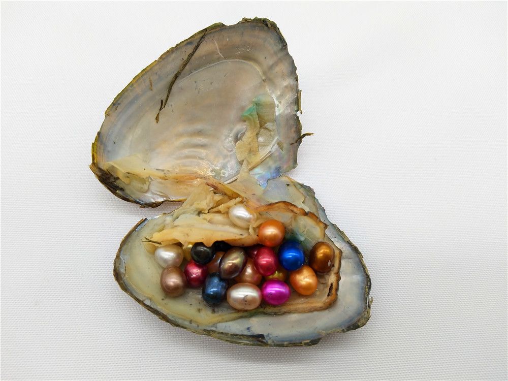 TOAOB 1 Hilo Perlas Naturales de Agua Dulce Cultivadas Perlas de Arroz Color de Concha Ovaladas Piedras Naturales Semipreciosas para la Fabricación de Joyas Collares Pulseras Pendientes