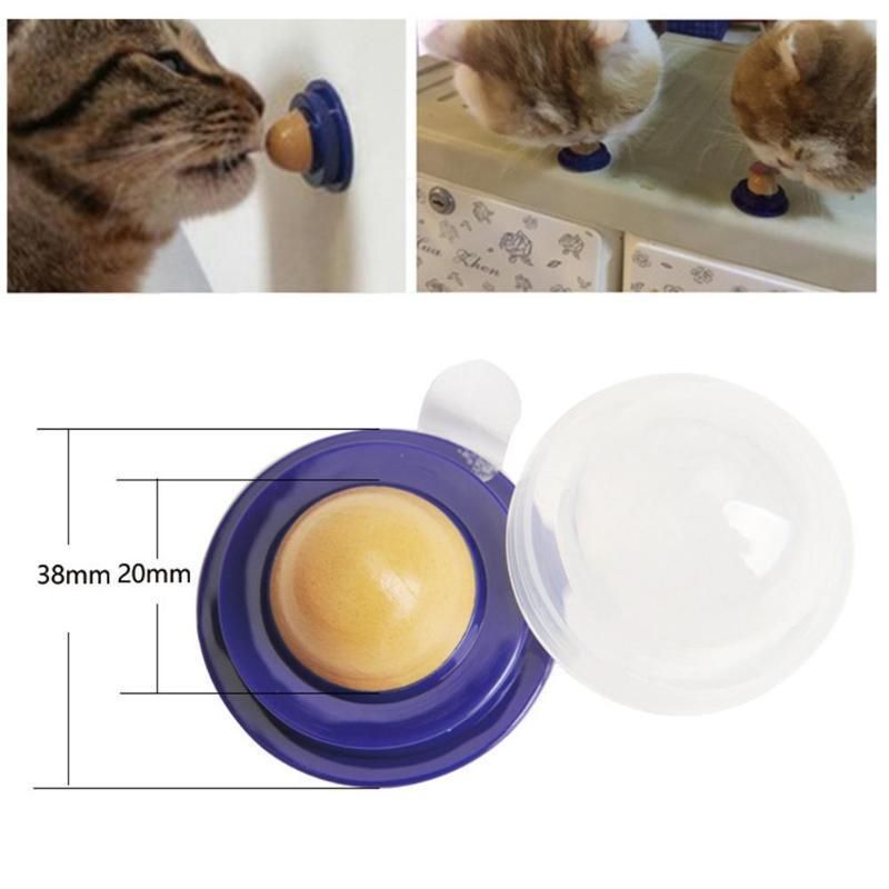 cat snack ball