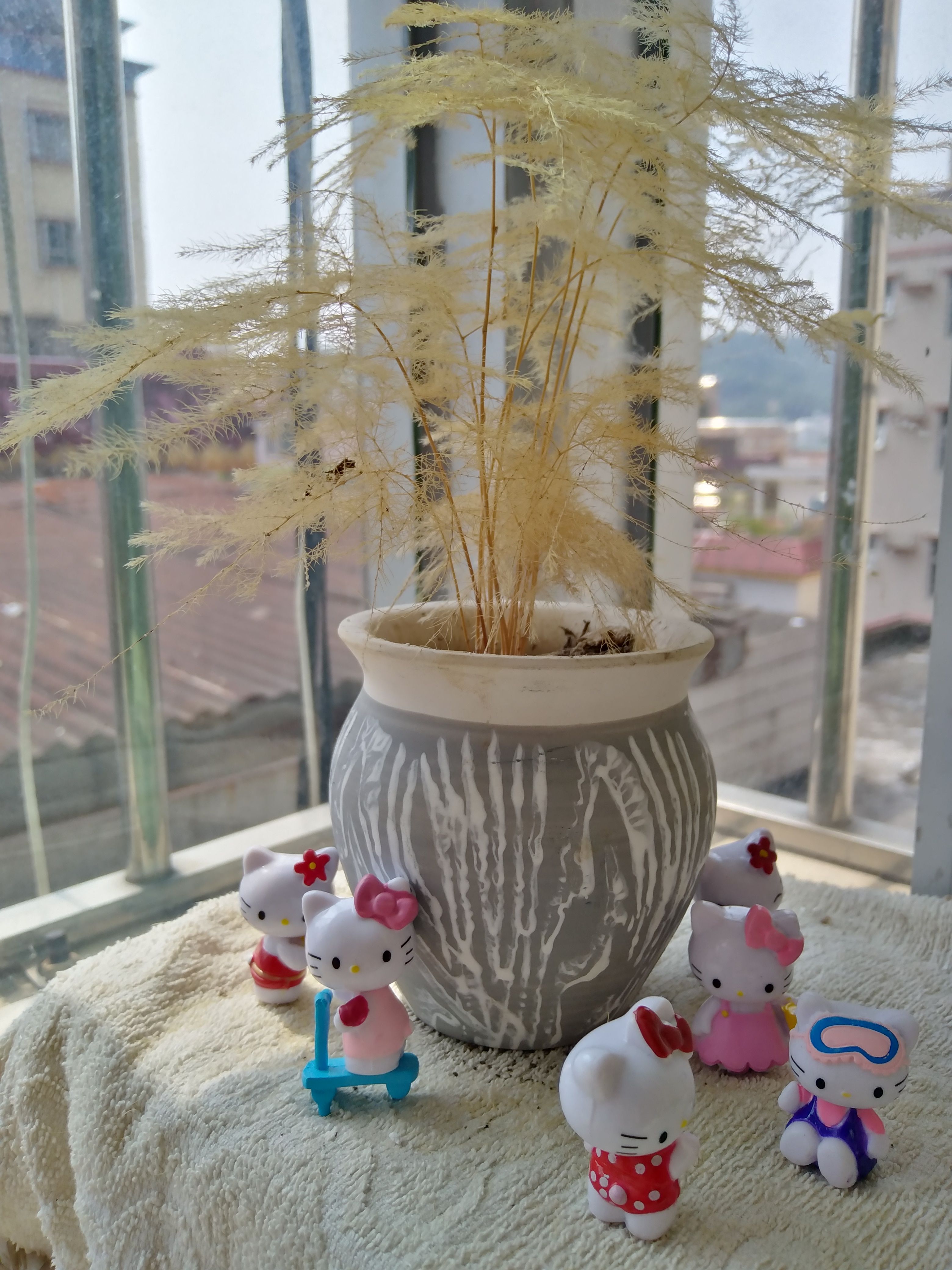 Compre Set Hola Gatito Regalos Decoracion Del Hogar Mini