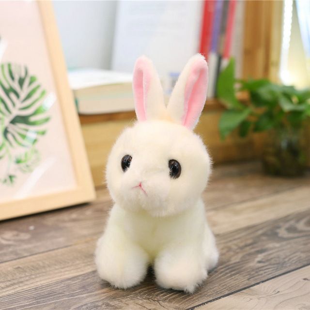 Bunny bianco