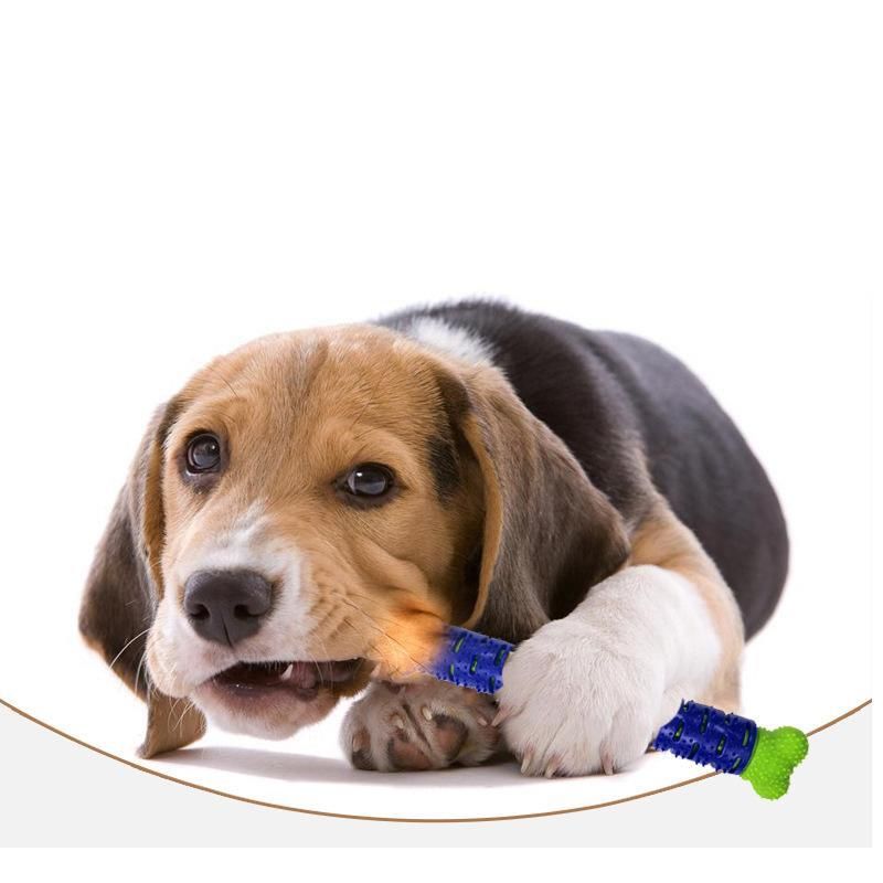 popular dog toys