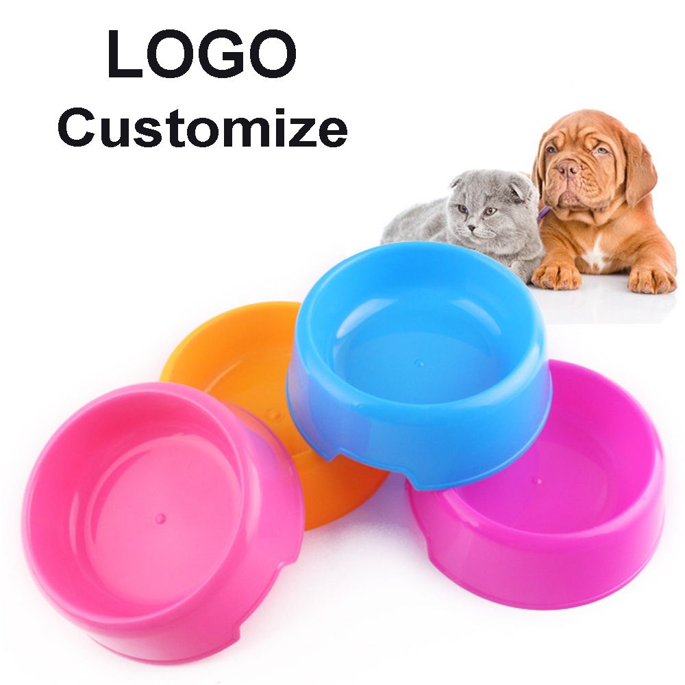 should i buy a guinea pig