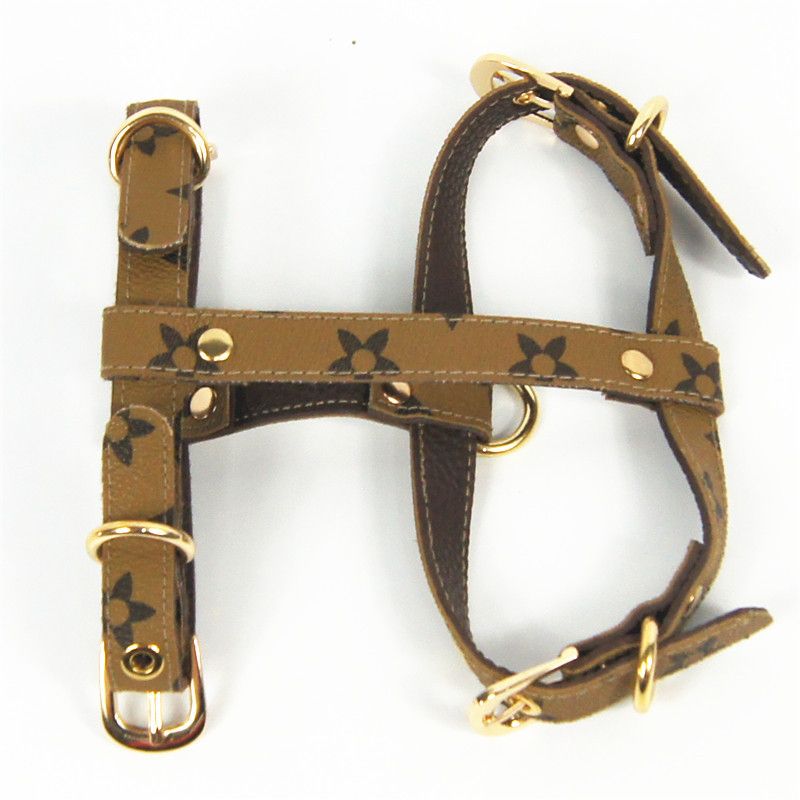 buckle dog harness