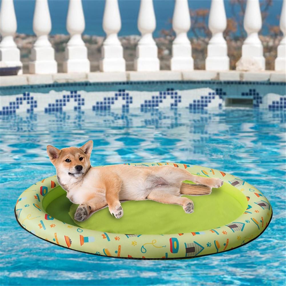 dog pool toys