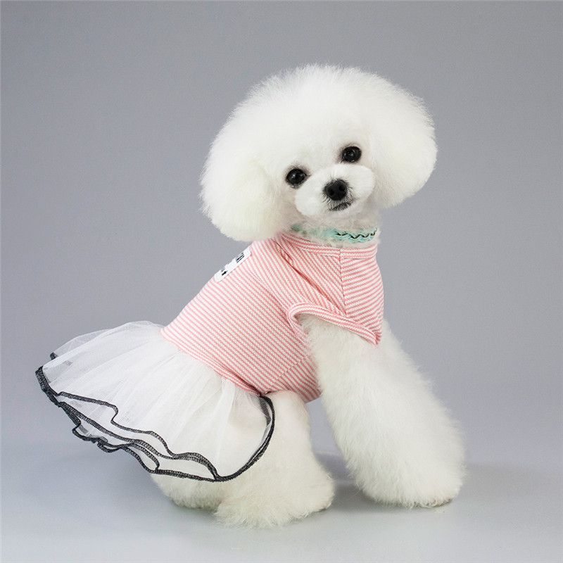 Corea rayado perrito pequeños vestidos perros ropa para para gatos mascotas de