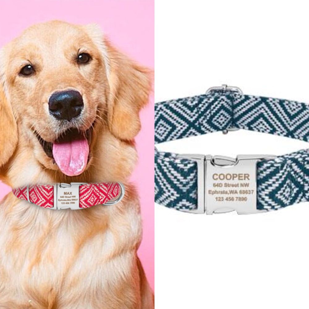 Buyuk Tasarruf Icin Ucuz Buyuk Kopekler Ozel Naylon Pet Yaka Islemeli Kimligi Etiket Yakalar Anti Kayip Tabela Metal Toka Pitbull Icin Kisisellestirilmis Kopek Yaka Indirimli Bir Fiyata Den Satin Alin Buyuk Tasarruf Icin Ucuz Buyuk Kopekler Ozel Naylon Pet Yaka Islemeli Kimligi Etiket Yakalar Anti Kayip Tabela Metal Toka Pitbull Icin Kisisellestirilmis Kopek Yaka Indirimli Bir Fiyata Den Satin Alin