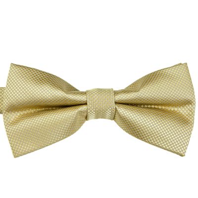 Fasta bowtie