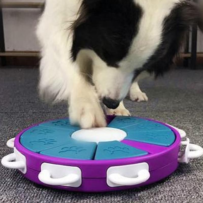 dog feeding puzzle bowl
