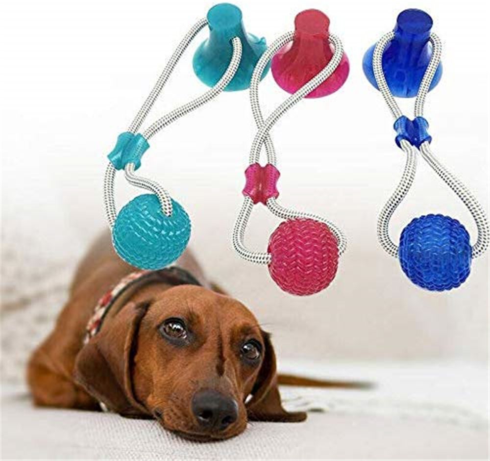 Juguete Multifuncional para mordedura de Molar Limpiar los Dientes Perros Pelota Juguete Juguetes para Perros Dog Chew Toy Juguetes Perros Pequeños Juguete Ventosa Perro 