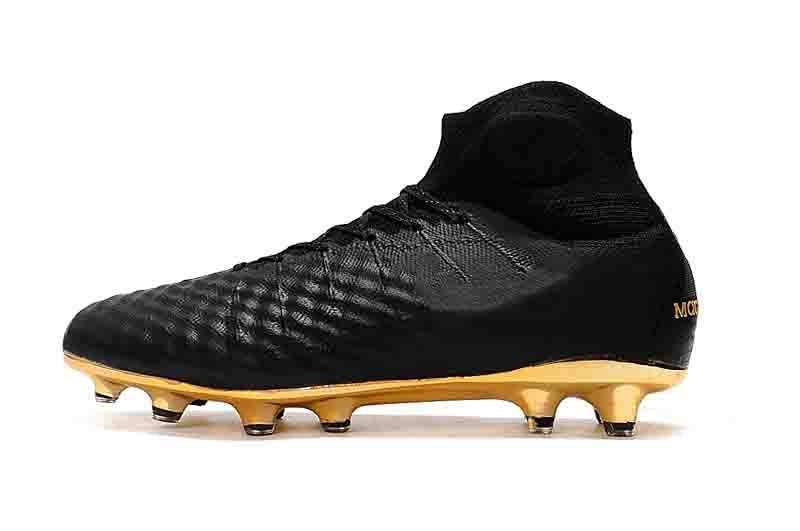 magista 2019