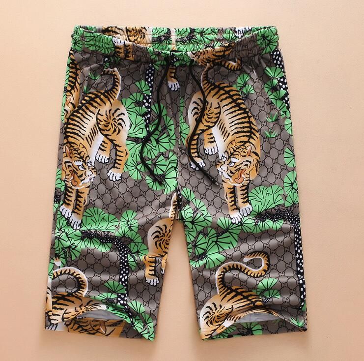 gucci swim shorts tiger