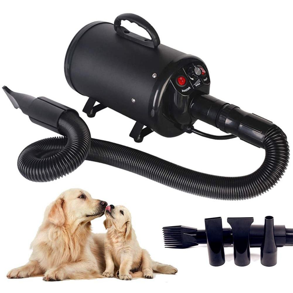 portable pet dryer