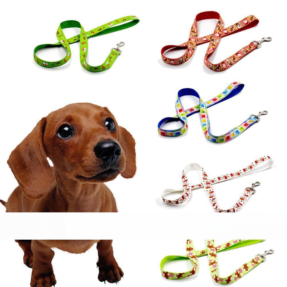 best collar color for a red dog