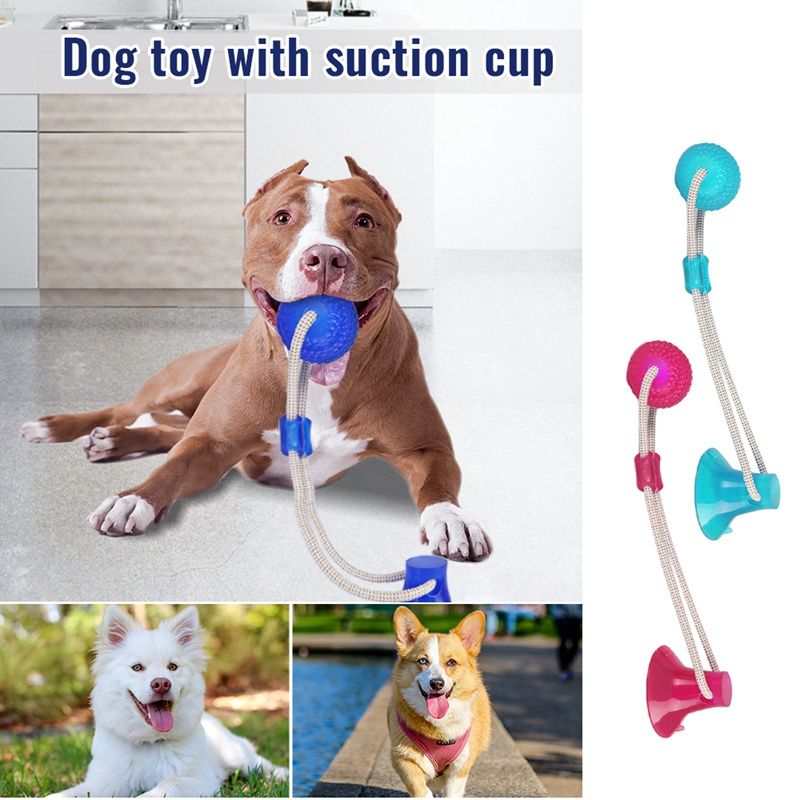 latest dog toys