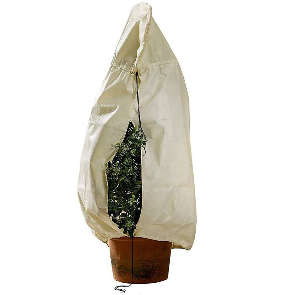 2020 Plant Covers Winter Warm Cover Tree Shrub Plant