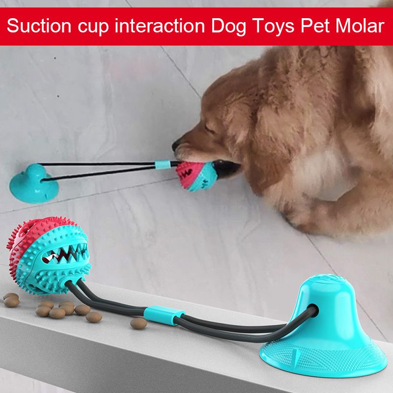 suction cup dog toy with ball