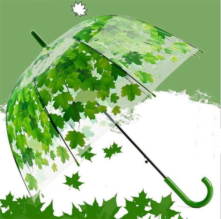 Grosshandel Transparent Verdicken Poe Gewolbte Pilz Regenschirme Kreative Blatter Design Bubble Umbrella 4 Farben Freies Verschiffen Von Miaifamily 5 35 Auf De Dhgate Com Dhgate
