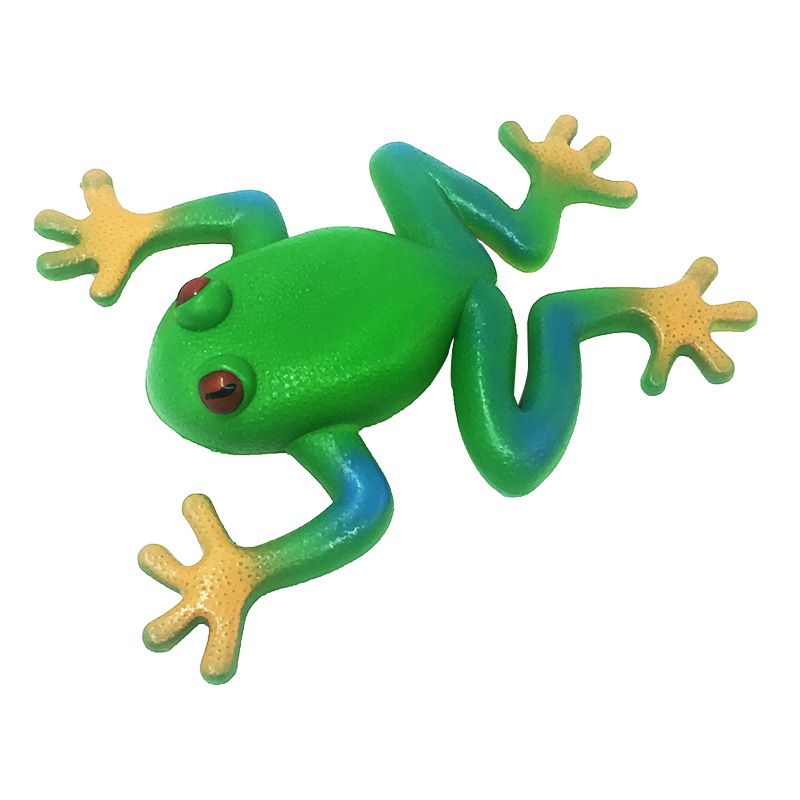 squishy frog