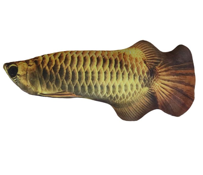 Golden Dragon peixes carregamento USB
