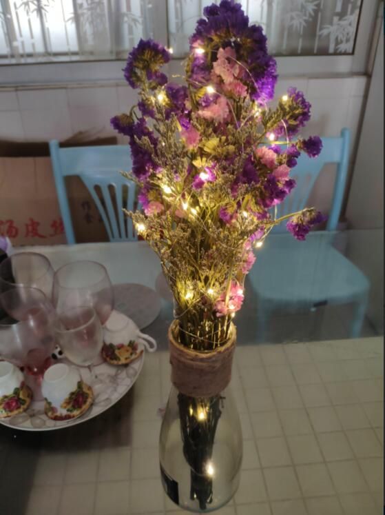 2M20LED Copper wire lamp