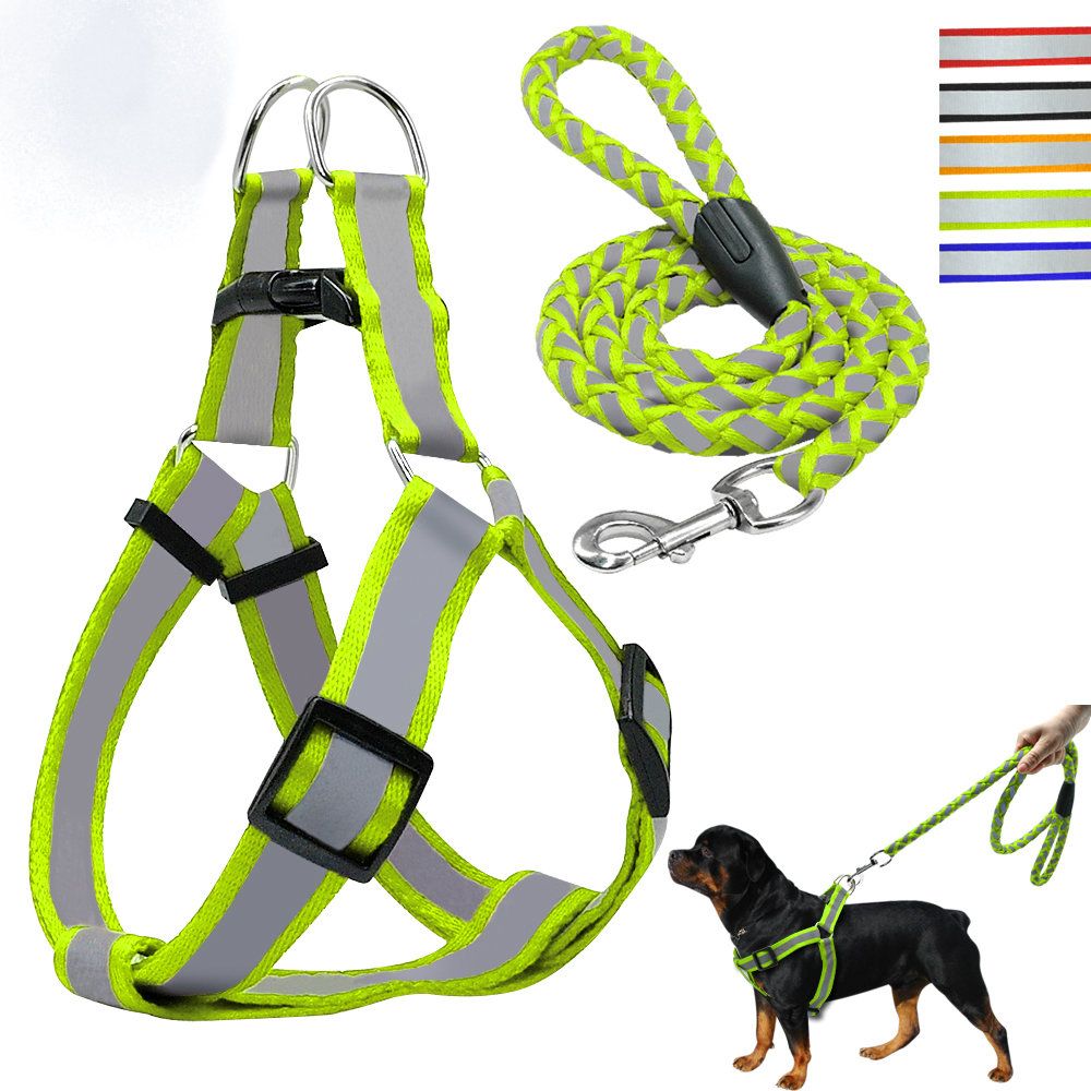 rope leash harness