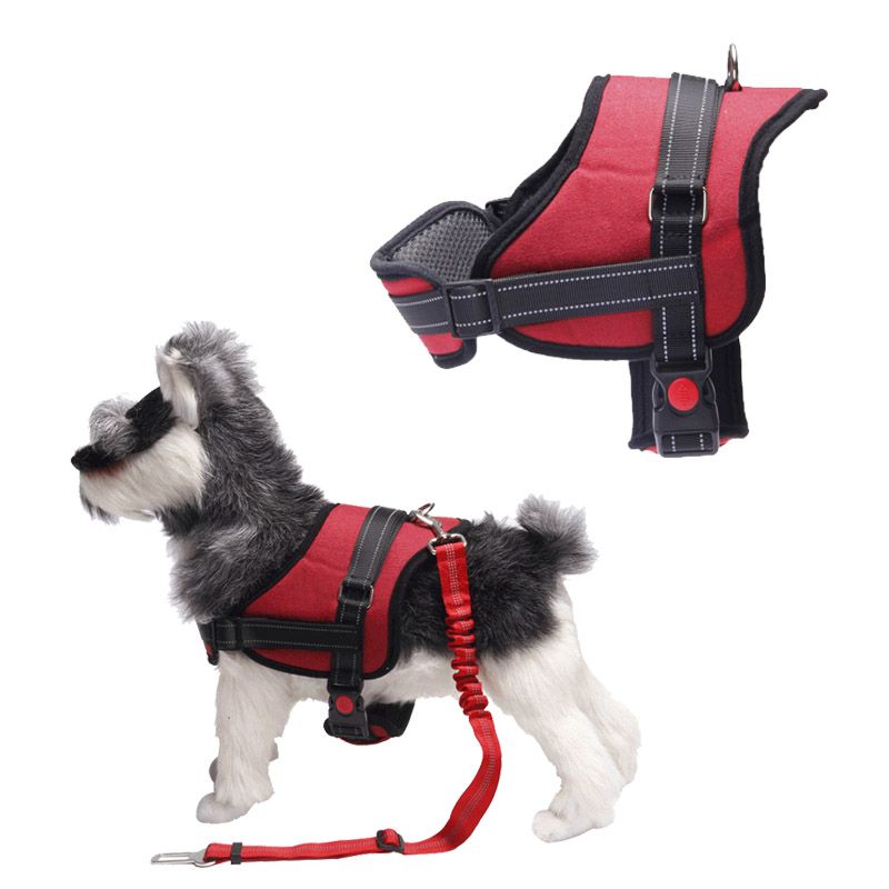 hot dog harness
