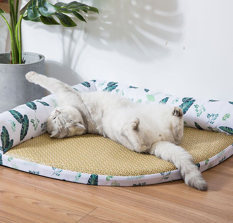 designer cat beds