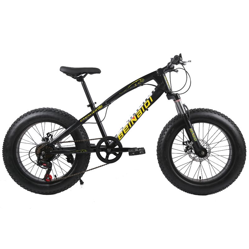 kids fat wheel bike