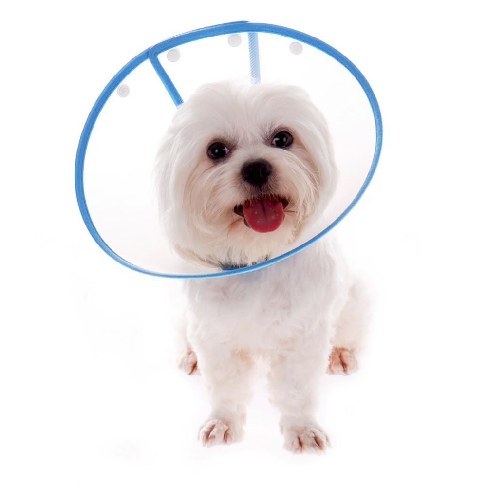 Elizabethan perro collar de recuperación de borde suave