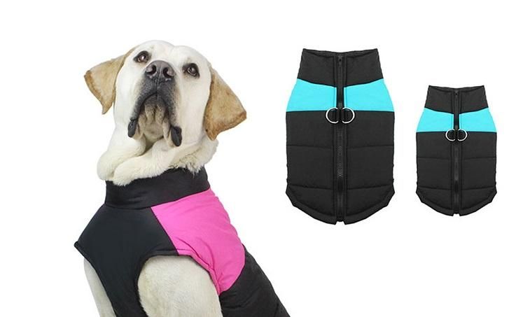 puppy winter clothes