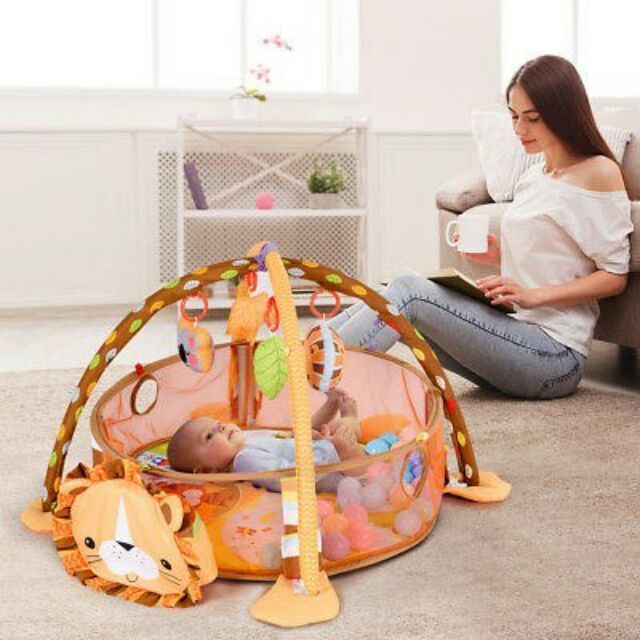 turtle baby play gym
