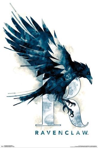 Compre Harry Potter Ravenclaw Illustrated Art Silk Poster
