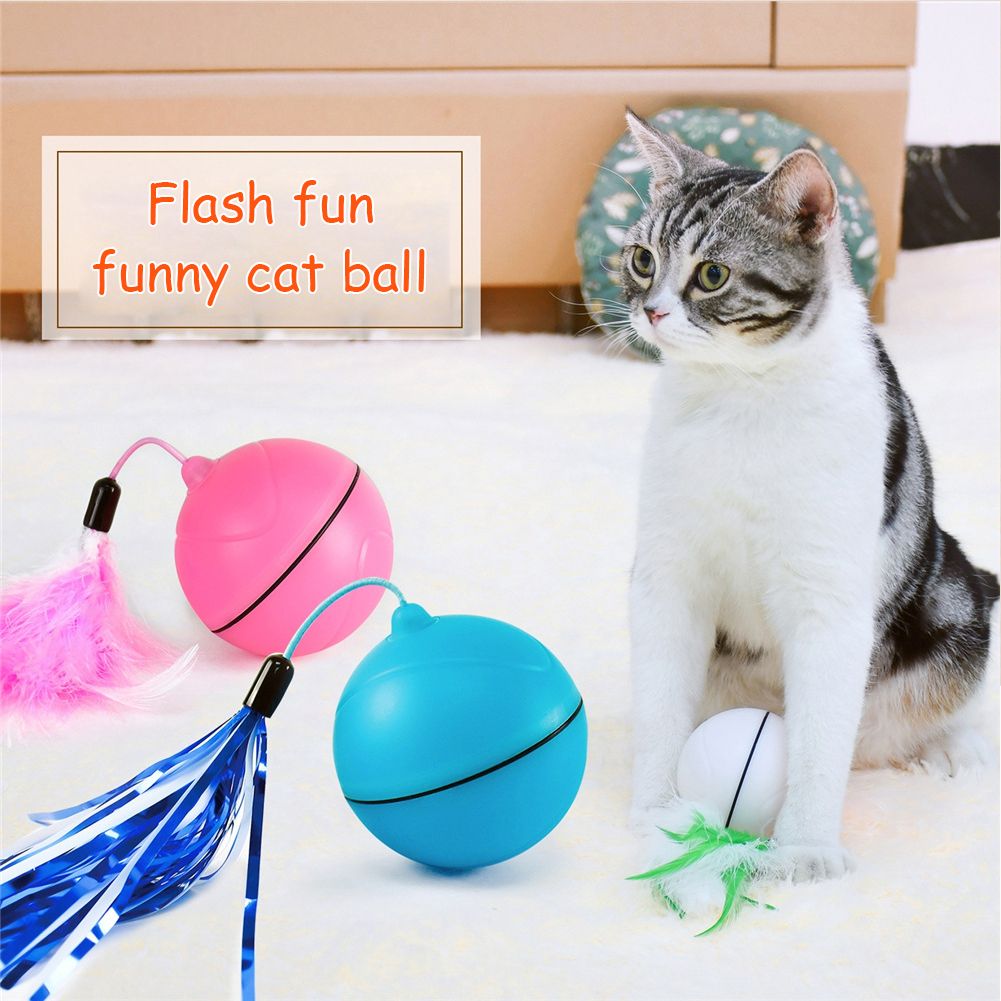magic rolling ball for cats
