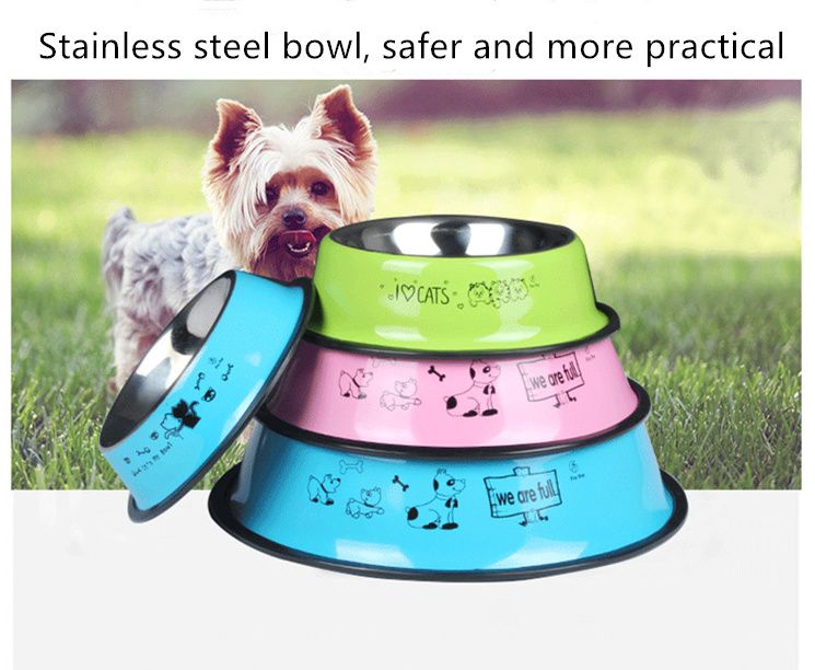 covered dog bowl