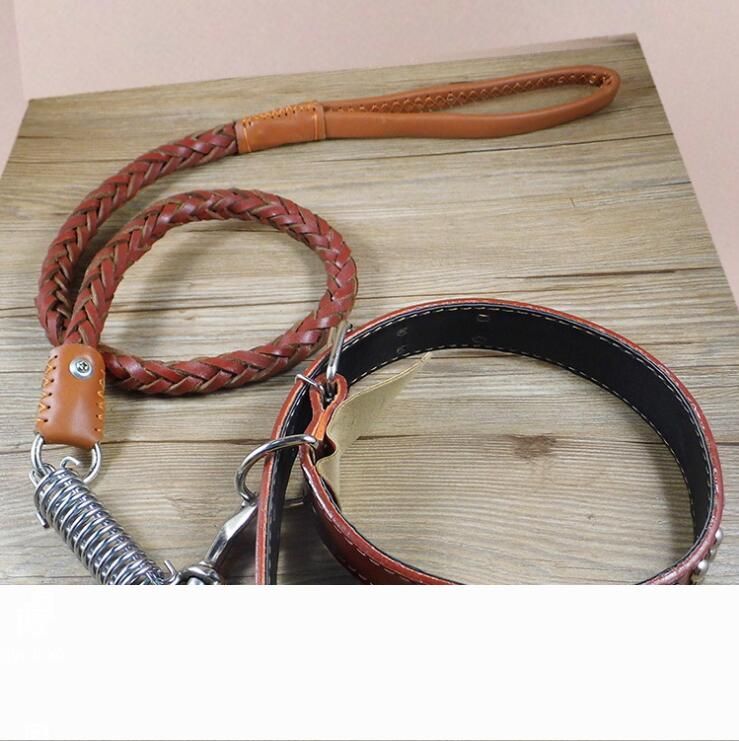 leather lead and collar