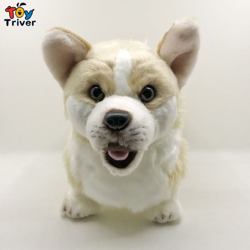 peluches corgi