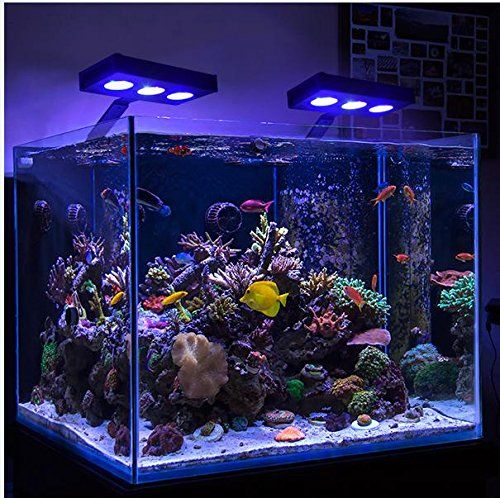 Acheter Touch Dimmable Nano Aquarium Led Luminaire Marin Réservoir De Poissons Tropical Deau Douce Plante Led Lampe éclairage Ac110 240v De 7056 Du