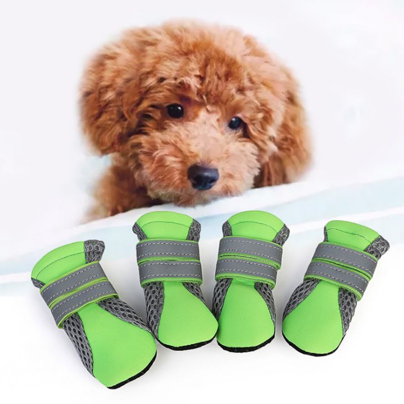 shoes for dogs summer