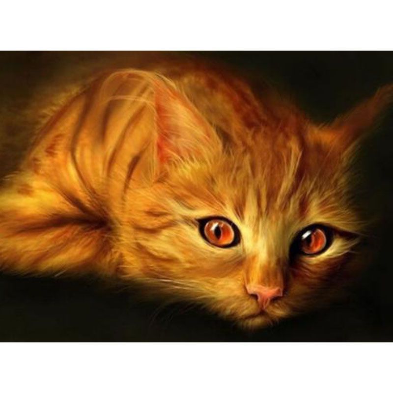 Acheter Diy 5d Diamant Peinture Diamant Rond Broderie Chat Dessin Point De Croix Kit Mosaique Peinture Decoration Chambre Decor De 5 56 Du Hayoumart6 Fr Dhgate Com