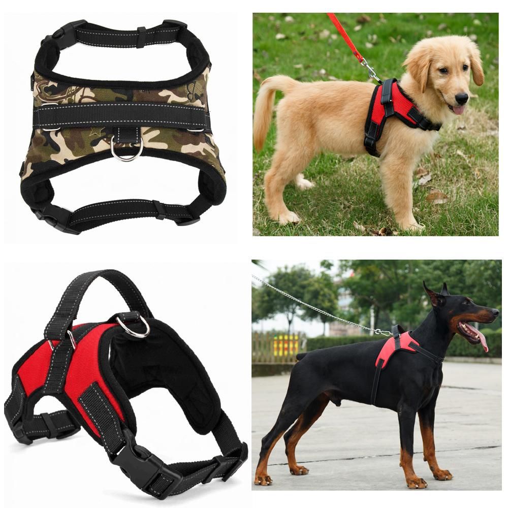 Nylon heavy duty dog pet harness collar Clearance