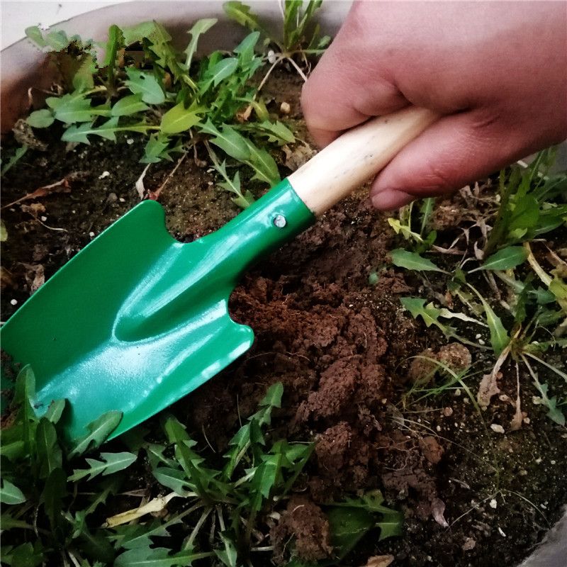 best sand shovel