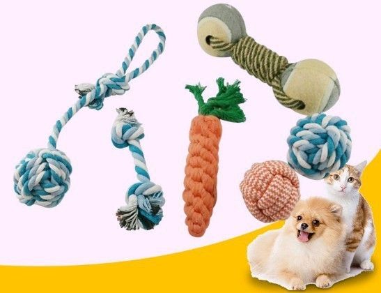 pet toys amazon
