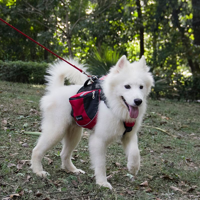 tailup dog backpack