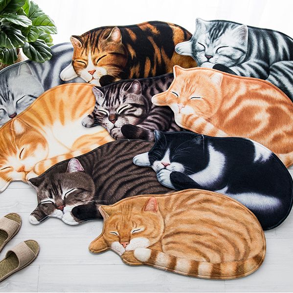 Cat Rug 3d Carpet Door Mats Entrance Hall Living Room Floor Mats Home
