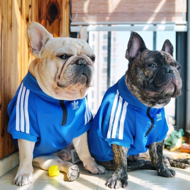 De lujo ropa del perro pequeño para pequeños perros medianos Francés Bulldog ropa ropa