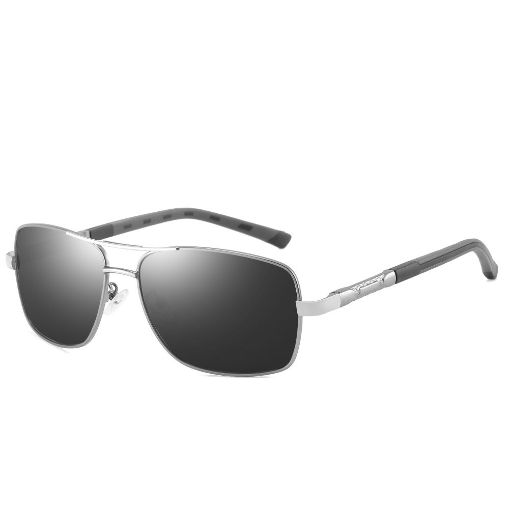 Gun silver gray frame full gray