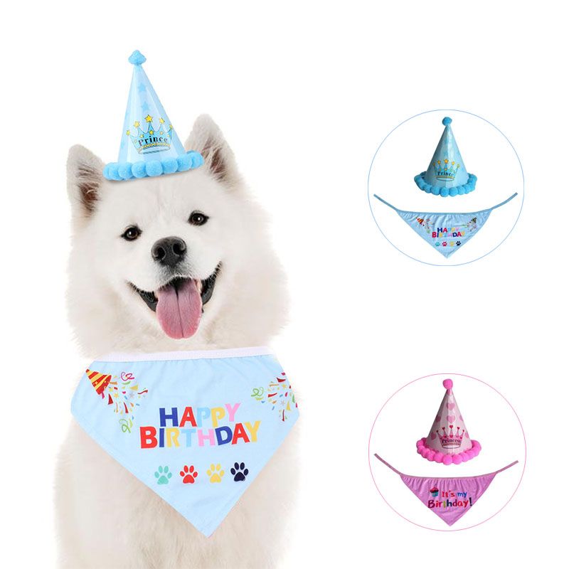 Acheter 19 Drole Mignon Chien Chat Anniversaire Couvre Chef Casquettes Chapeau De Fete Fournitures Costume Bandana Couvre Chef Lettre Etoile Imprimer Animaux Accessoires De 18 97 Du Hilery Fr Dhgate Com