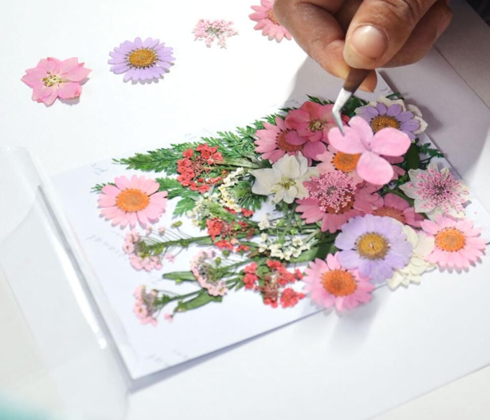 10 cartes postales Herbier avec des vraies fleurs pressées du jardin.