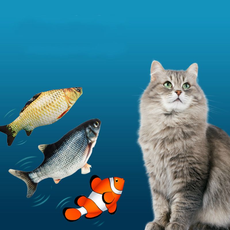 plastic salmon toy